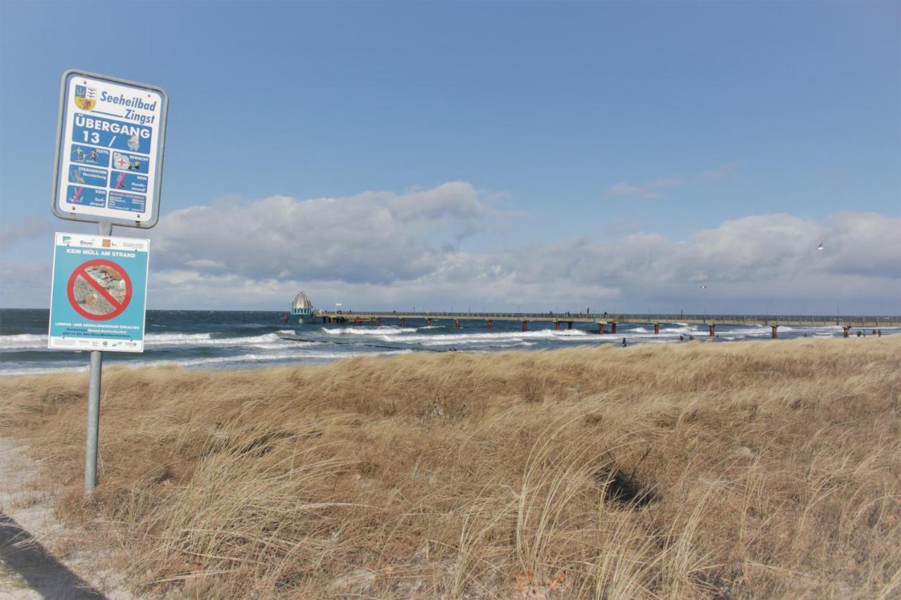 Residenz Am Strand Wohnung 4-64 Zingst Eksteriør billede